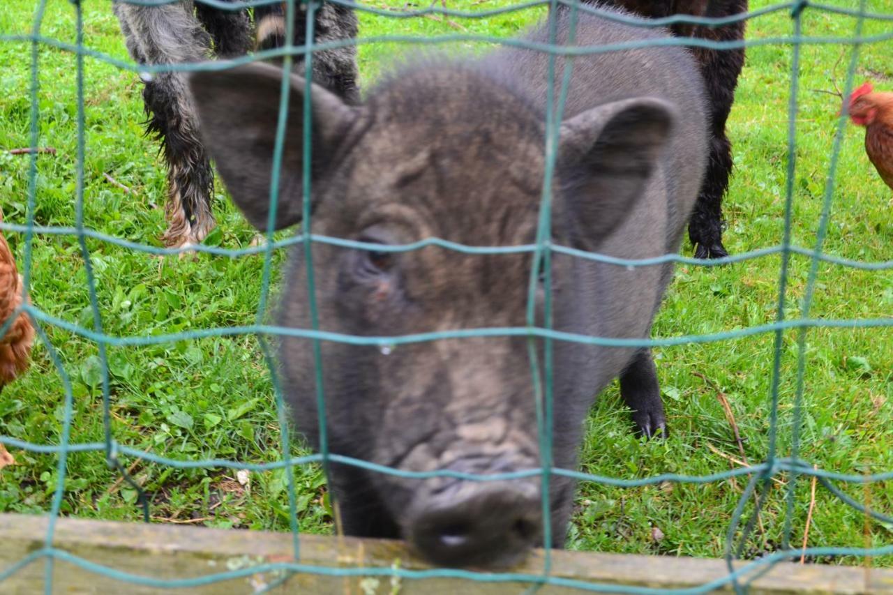 Le Paradis Des Animaux Coublevie Εξωτερικό φωτογραφία