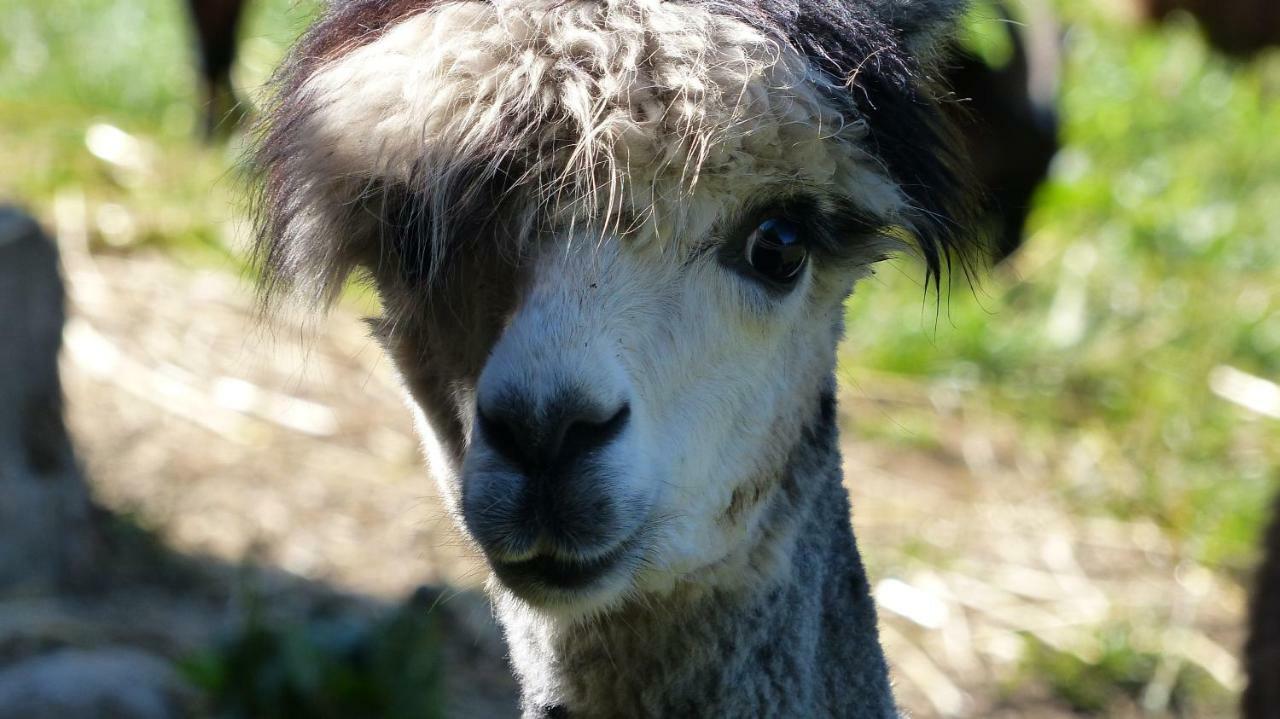 Le Paradis Des Animaux Coublevie Εξωτερικό φωτογραφία