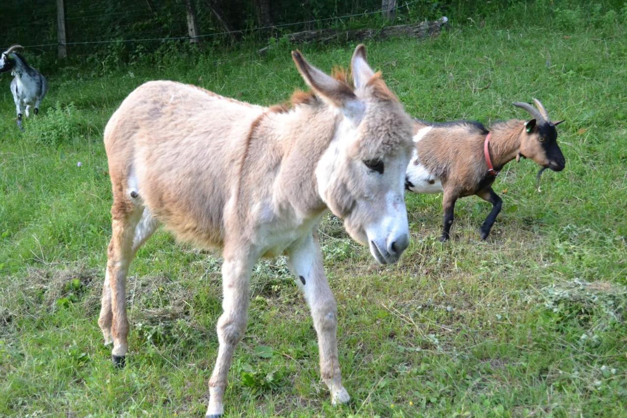 Le Paradis Des Animaux Coublevie Εξωτερικό φωτογραφία
