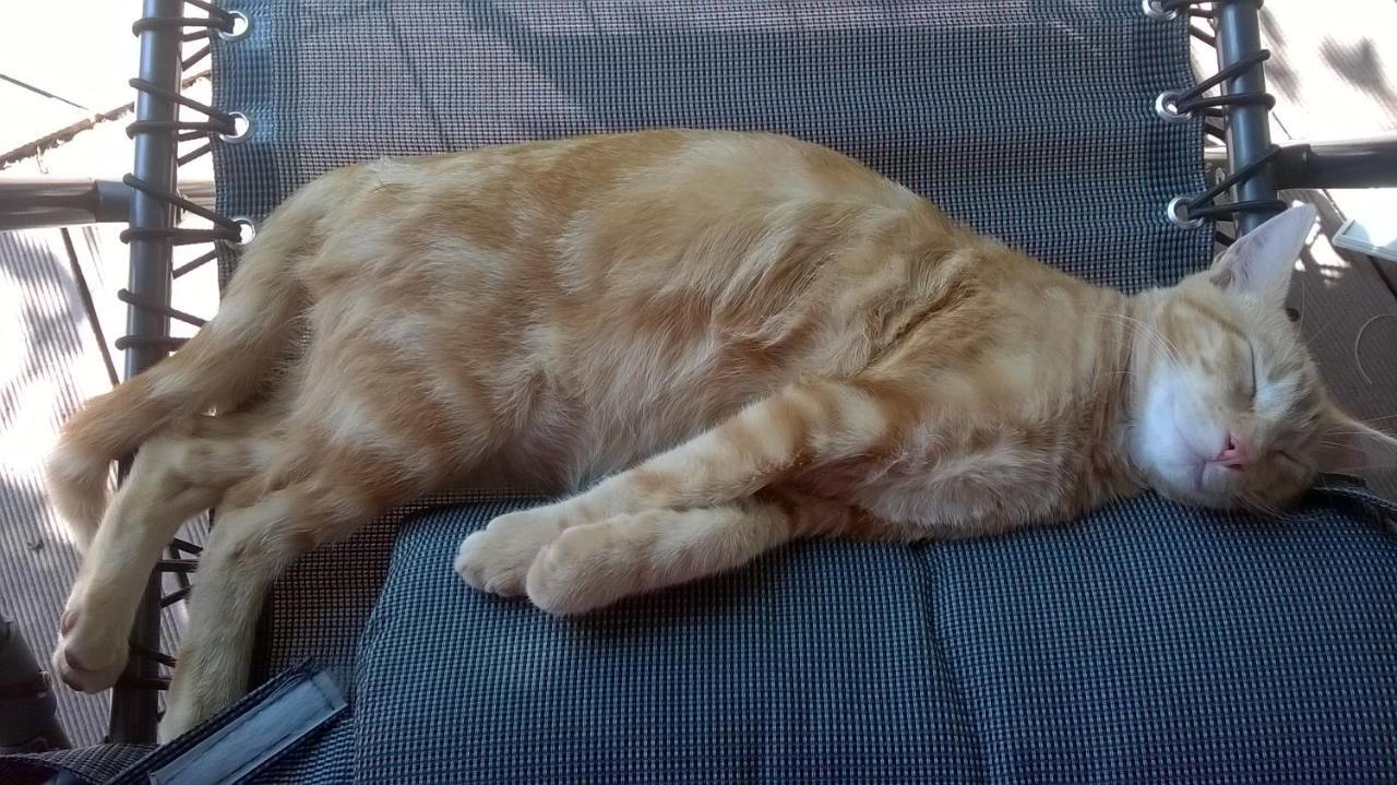 Le Paradis Des Animaux Coublevie Εξωτερικό φωτογραφία